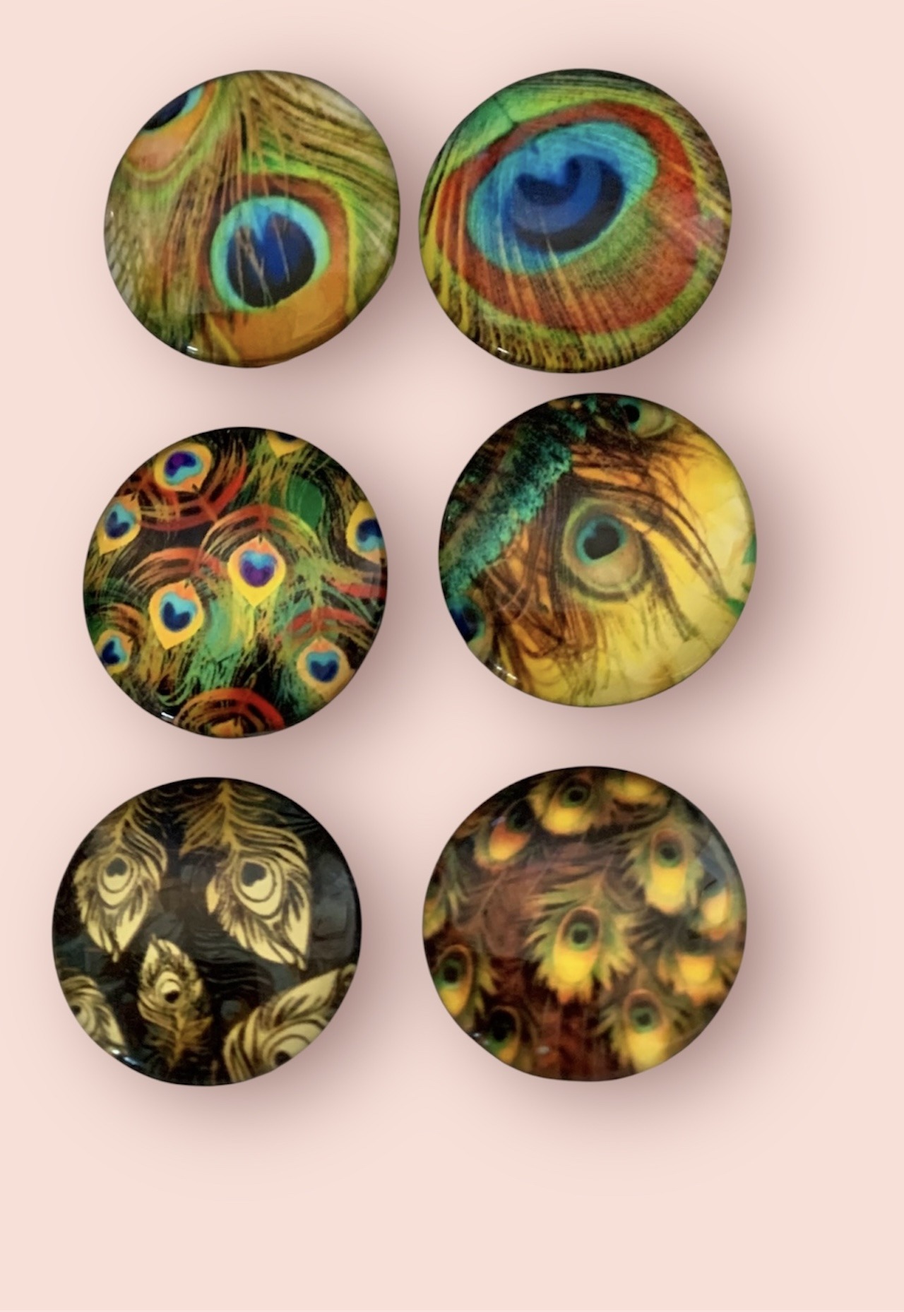 Yellow Peacock Feather magnets