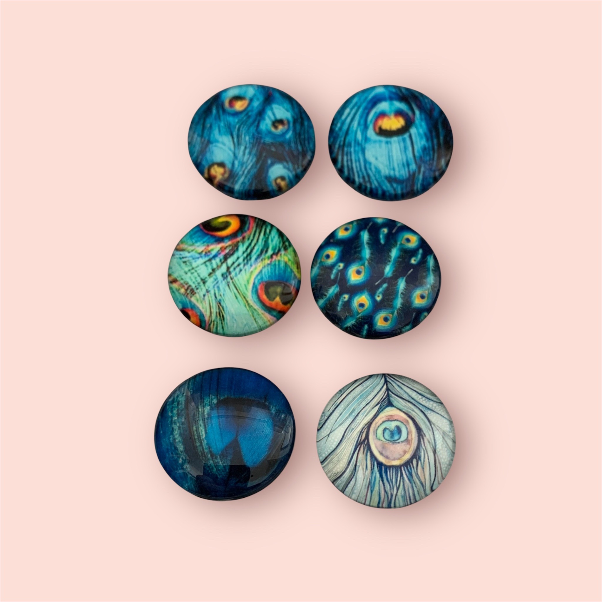 Blue Peacock Feather Magnets