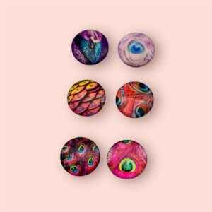 Muti Coloured Peacock Feather