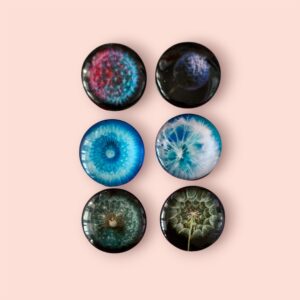 Dandelion Magnets
