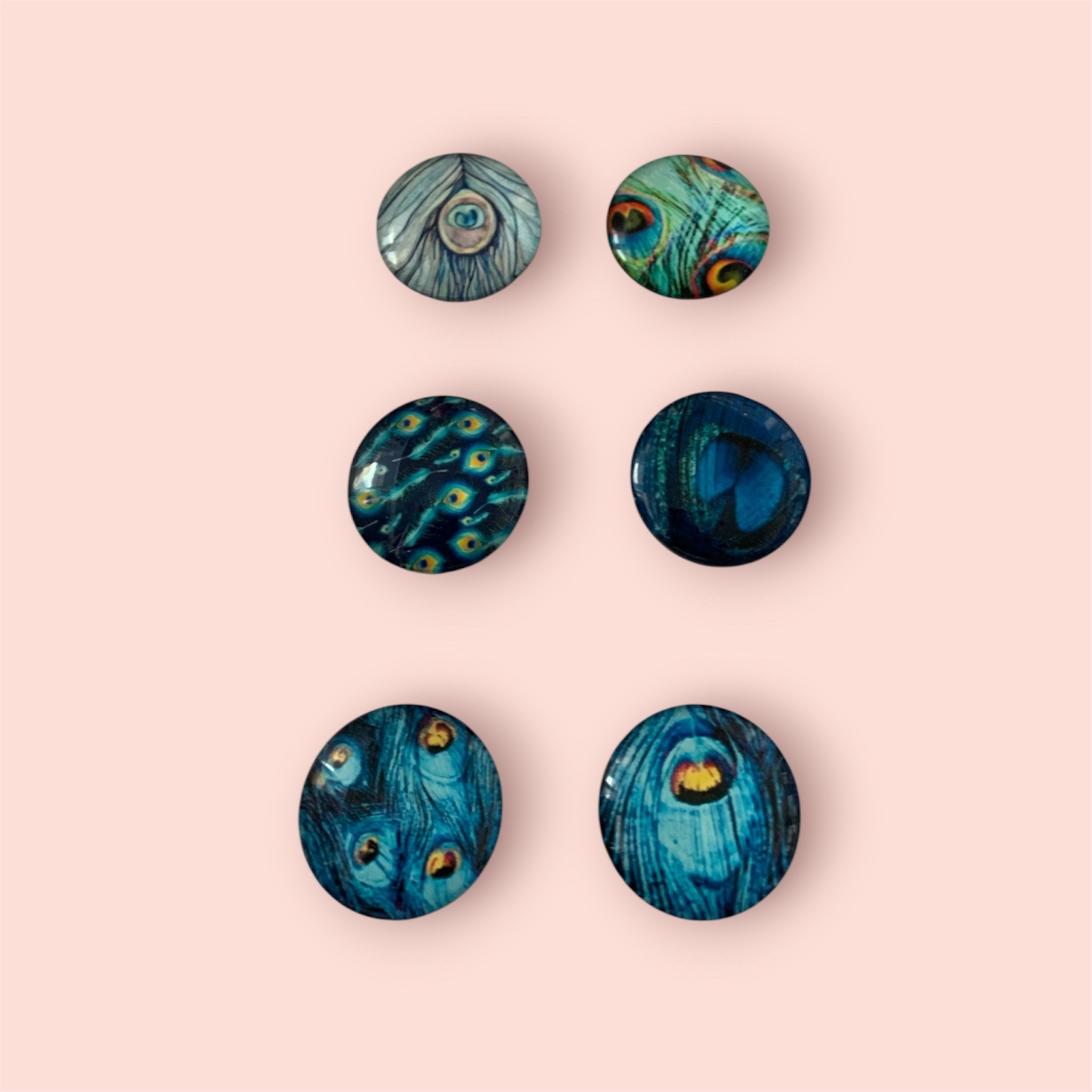 Blue peacock magnets